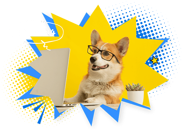 dog_banner_foter