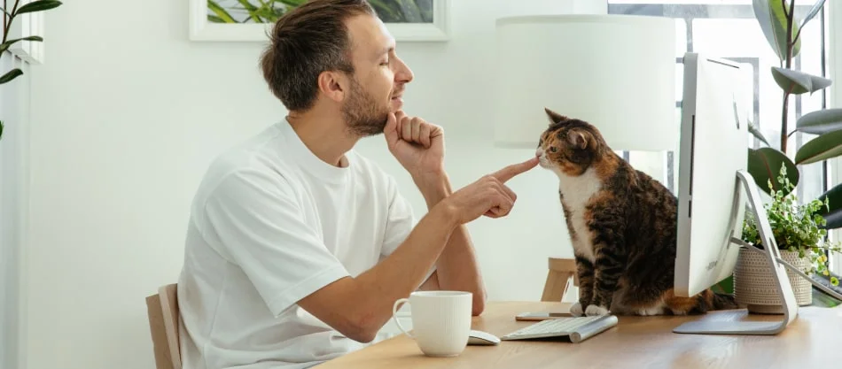 Die 7 besten Methoden zur Steigerung der Produktivität von Remote-Mitarbeitenden