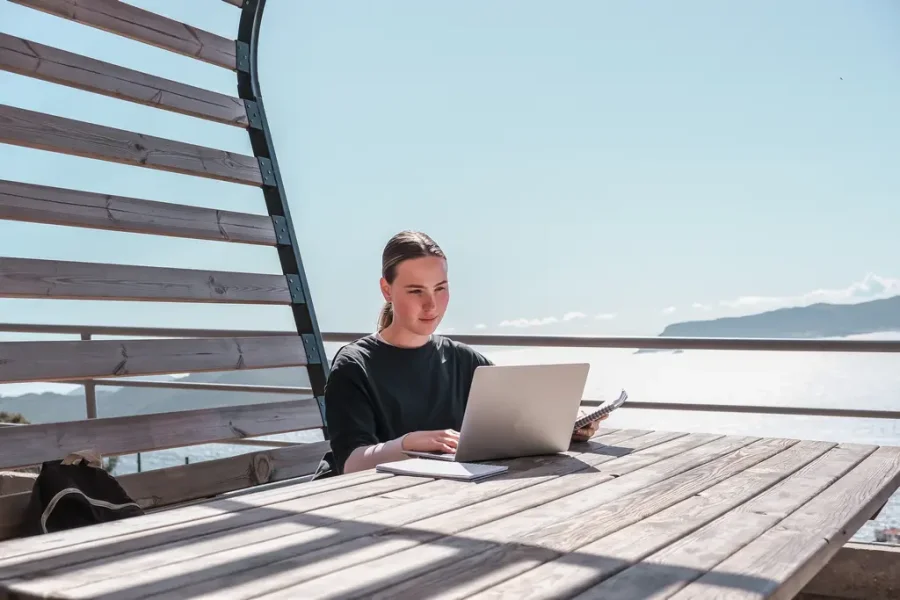 Geld verdienen online